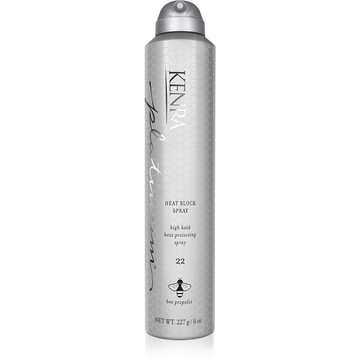 Heat Block Spray 22 - Studio 1 Beauty